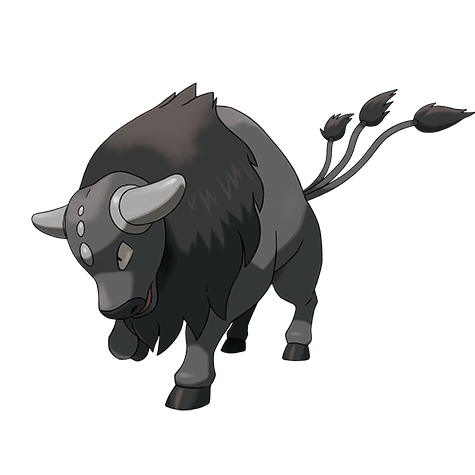 Tauros (Paldea Combat)